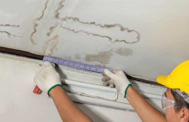 Reliable Water Damage contractor in Seabrook, MD by Water Damage Irwin